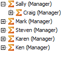 Manager Hierarchy - TM1
